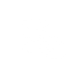 Physiotherapie Gistl